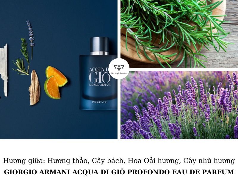 nuoc-hoa-acqua-di-gio-xanh