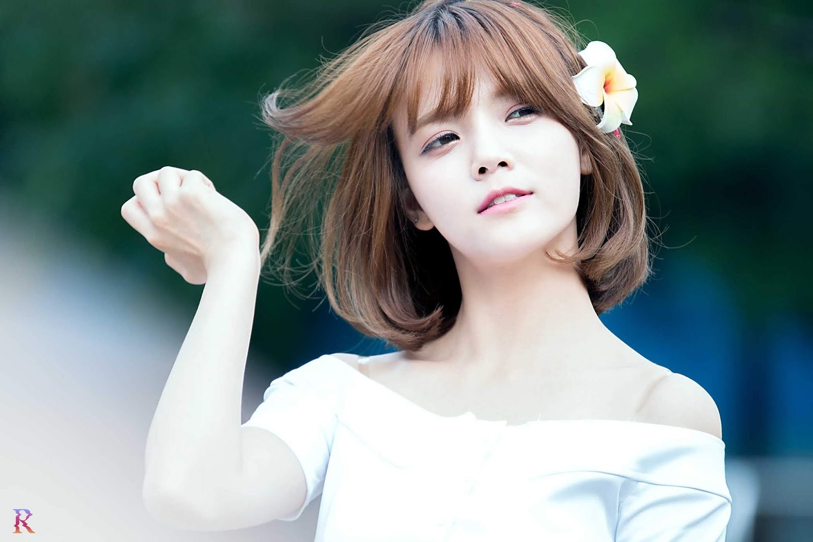 sao Kpop gay go anh 2