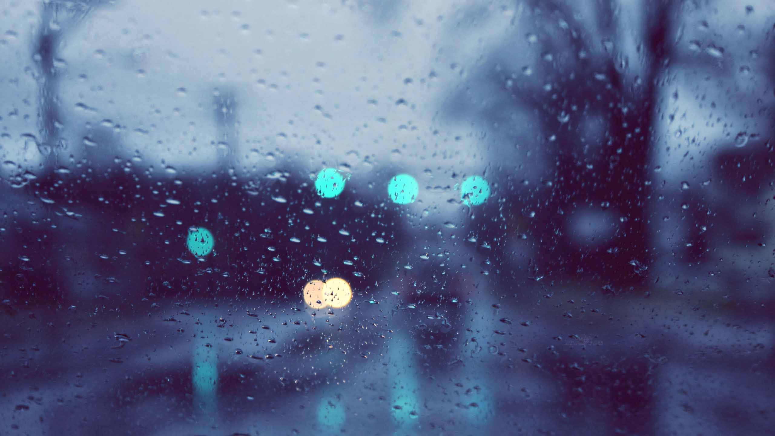 anh nen may tinh mua buon tam trang 2560px 1440px 2k 2