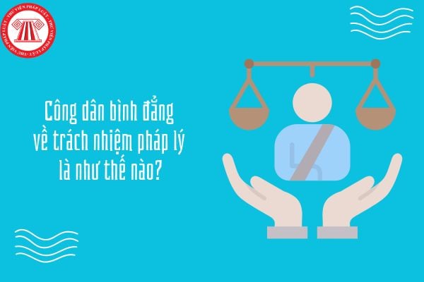 http://cdn.sachhayonline.com/wp-content/uploads/2026/06/binh-dang-ve-trach-nhiem-phap-ly-co-nghia-la.jpg