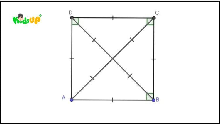 Công thức tính diện tích hình thang chi tiết cho toán lớp 2