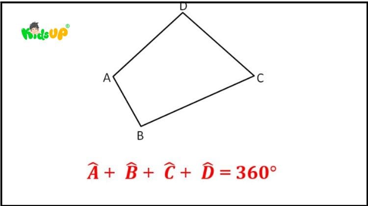 Đặc điểm của hình tứ giác