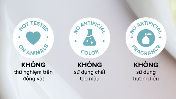 Ceramide hoạt động tốt với những thành phần nào khác, Có thể kết hợp Ceramide với các sản phẩm chăm sóc da khác không