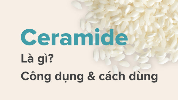 Ceramide là gì, tác dụng và cách dùng Ceramide chăm sóc da