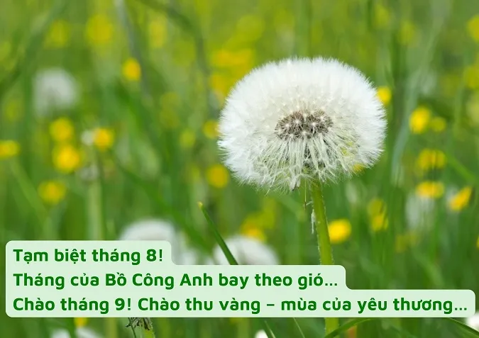 stt-thang-9-voh-2