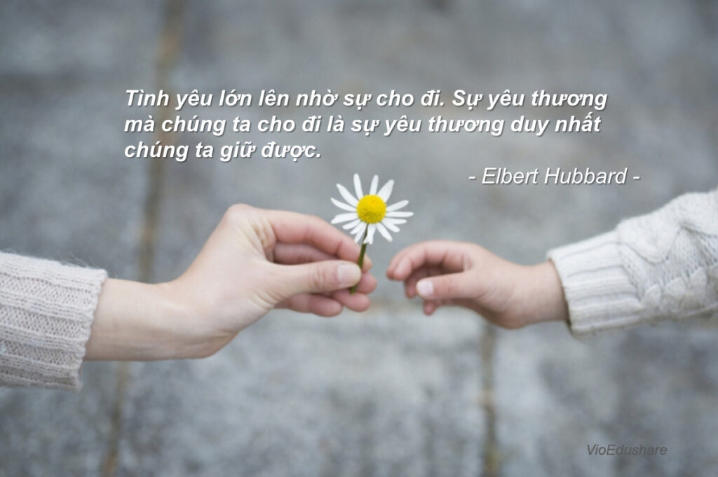 những danh ngôn hay nhất về tình yêu thương