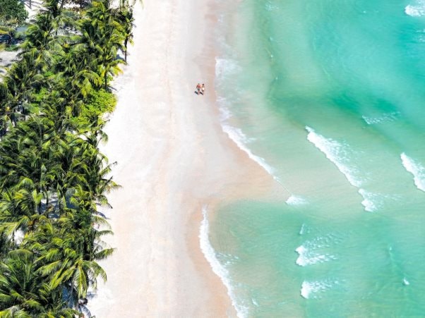 261-202601211028431.jpeg