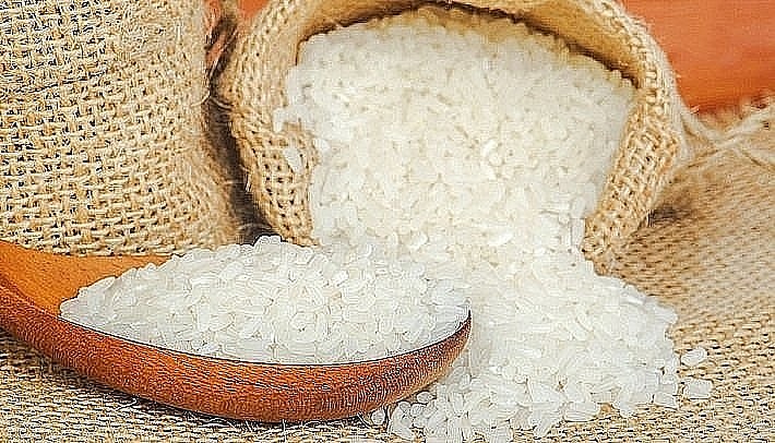 Xuất khẩu gạo Việt Nam đang đối mặt với khó khăn từ giá giảm
