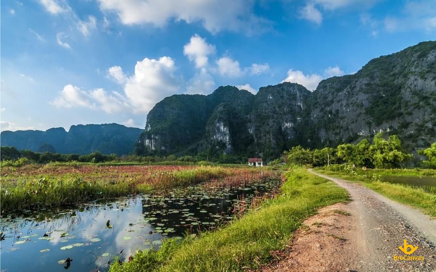 Hình ảnh đầm Súng Bên Con đường