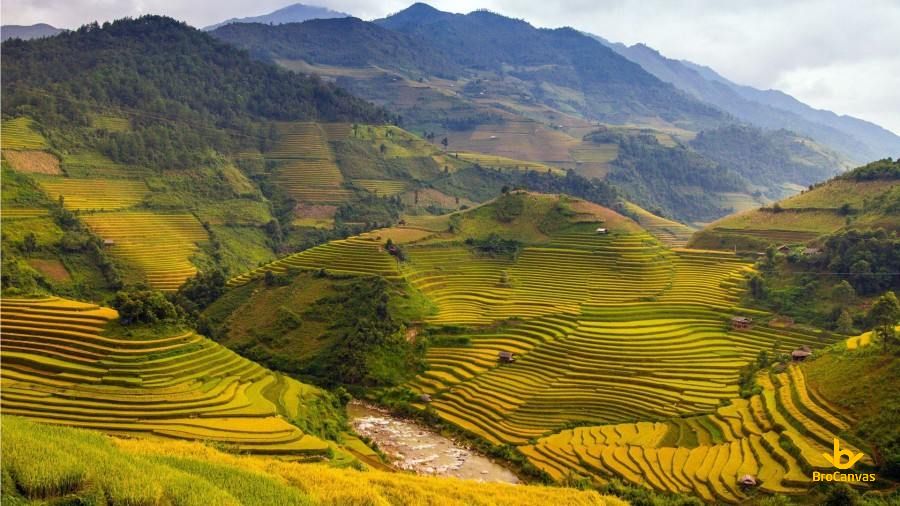 Hình ảnh Trùng Trùng Ruộng Bậc Thang
