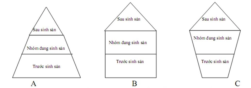 Nhóm tuổi