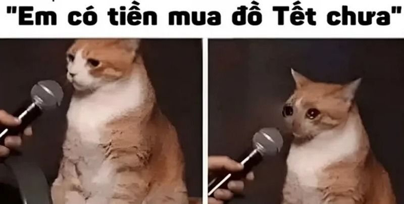Meme tiền đình