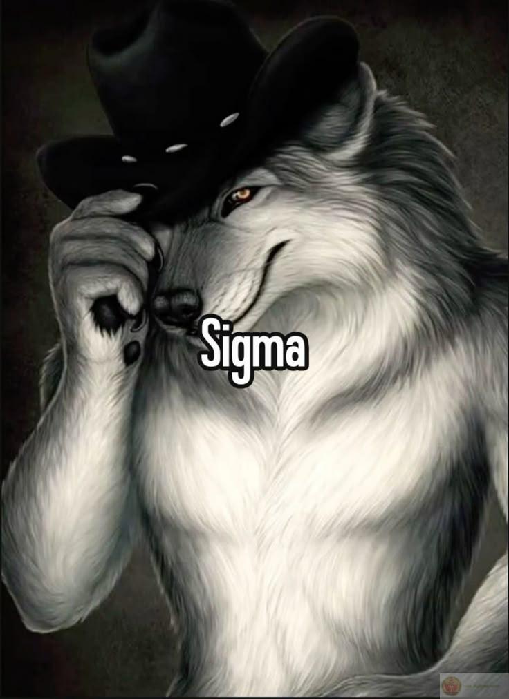 Sigma là gì meme