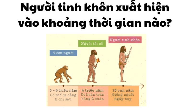 Người tinh khôn xuất hiện vào khoảng thời gian nào?