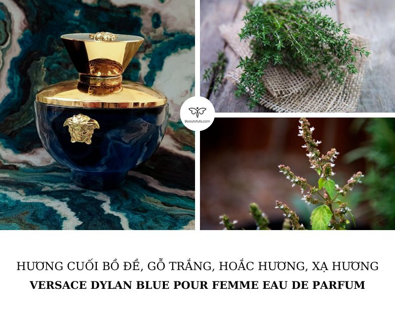 versace-pour-femme-dylan-blue