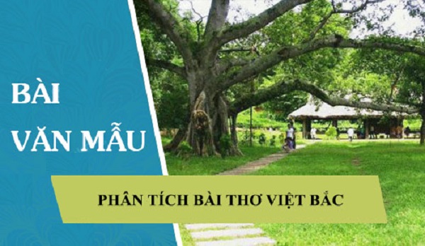 Bài Văn Phân Tích Bài Thơ Việt Bắc Của Học Sinh Giỏi lớp 12