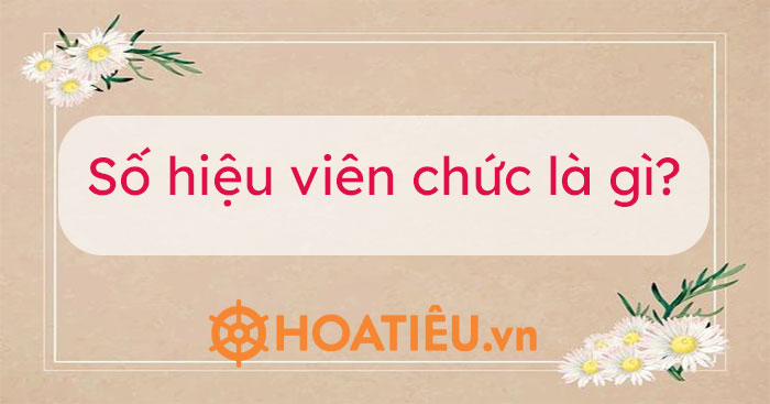 Hình ảnh minh họa về viên chức