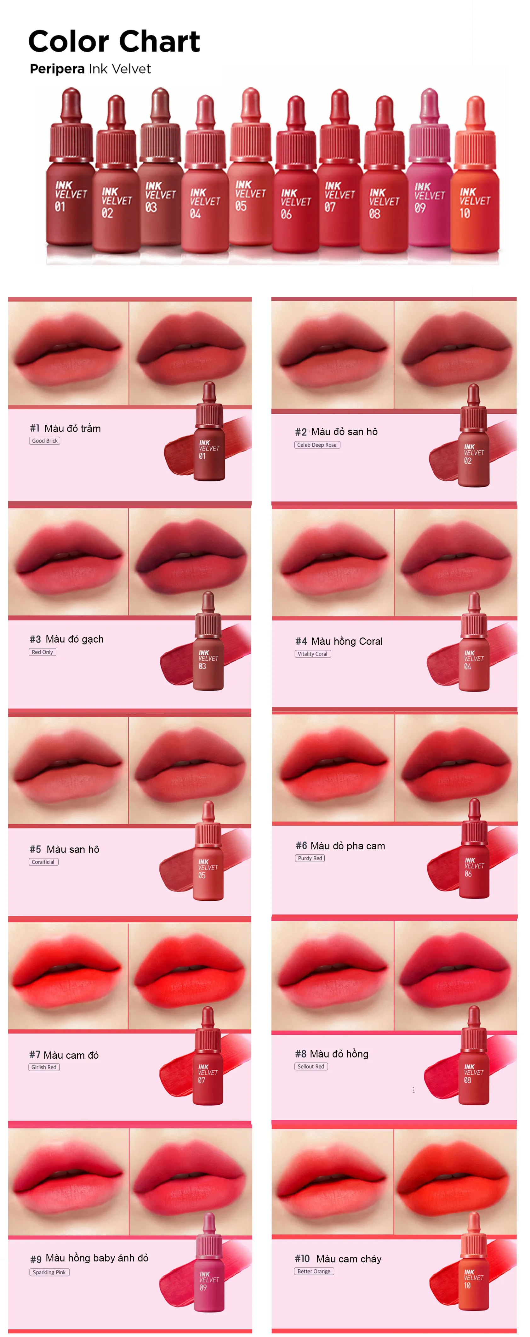 bf52e254-ae2e-4feb-913b-49b301b80690.webp