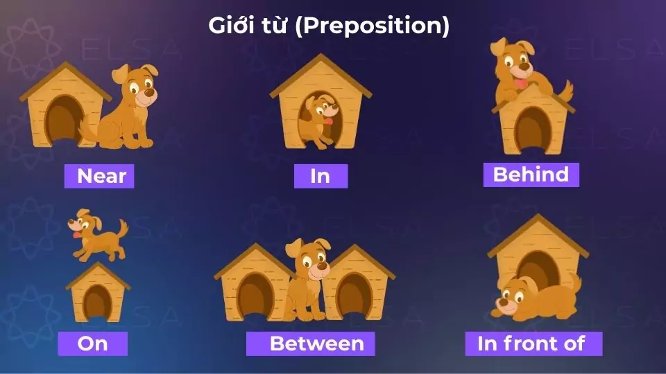 Giới từ diễn tả mối tương quan về thời gian, hoàn cảnh hoặc vị trí của sự vật