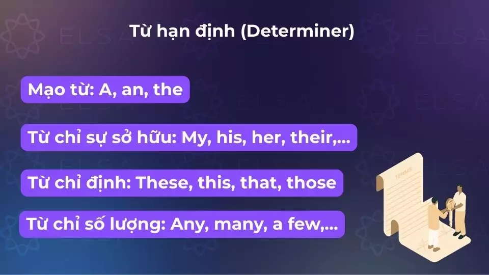 Từ hạn định giúp xác định và giới hạn danh từ/cụm danh từ