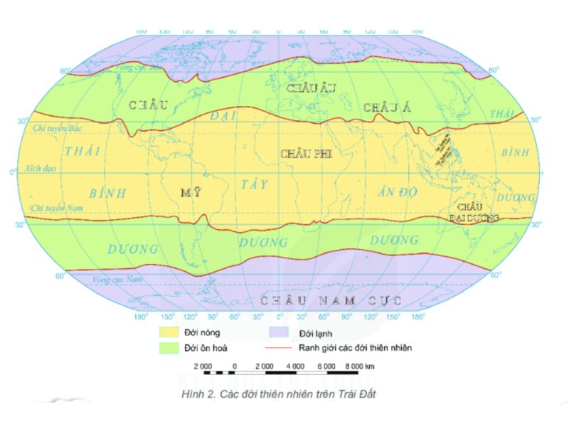 viet-nam-thuoc-doi-khi-hau-nao-1