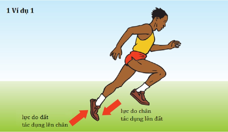 Lực không xuất hiện riêng lẻ, mà sẽ có sự xuất hiện theo từng cặp. (Ảnh: Sưu tầm Internet)