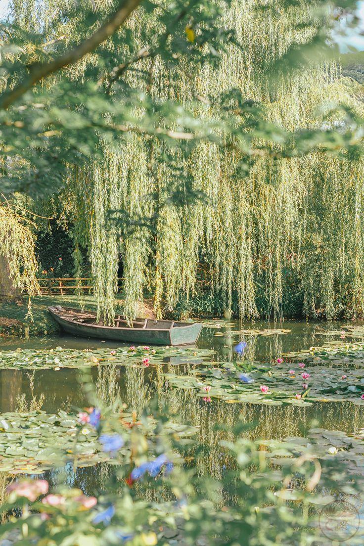 Hình ảnh phong cảnh chill