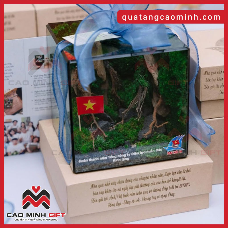 Đơn hàng bể rêu bảo tồn - Quà tặng đại hội Công ty Điện lực miền bắc