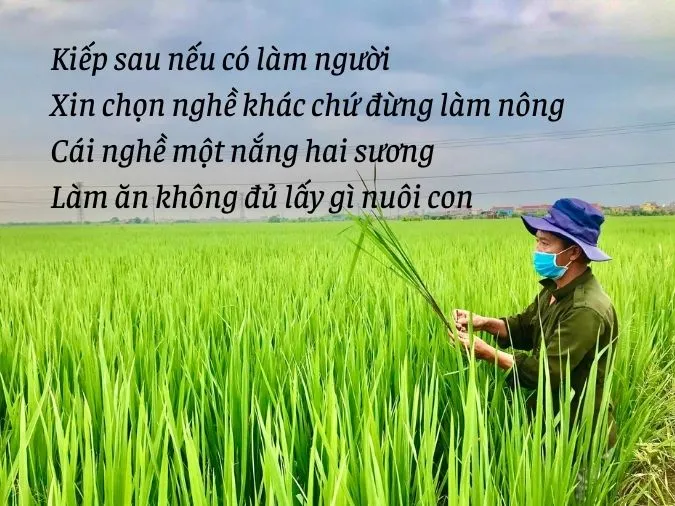 Tuyển tập các bài thơ về nghề nghiệp - những bài ca về người lao động 6
