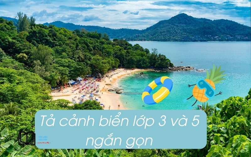 bài văn tả cảnh biển lớp 3 và 5 ngắn gọn nhất