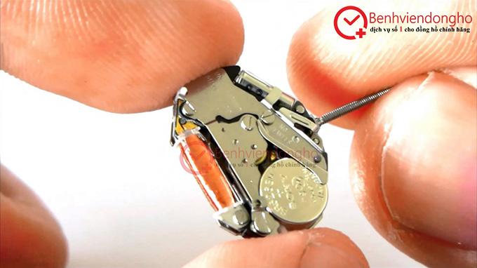 Máy đồng hồ điện tử thuộc về tập đoàn Citizen và được bán ra ngoài rất nhiều