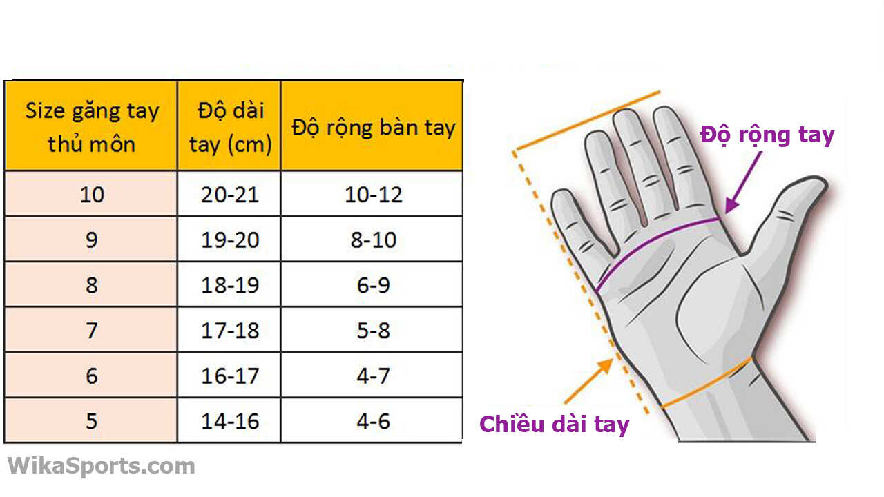 do-size-ban-tay_optimized