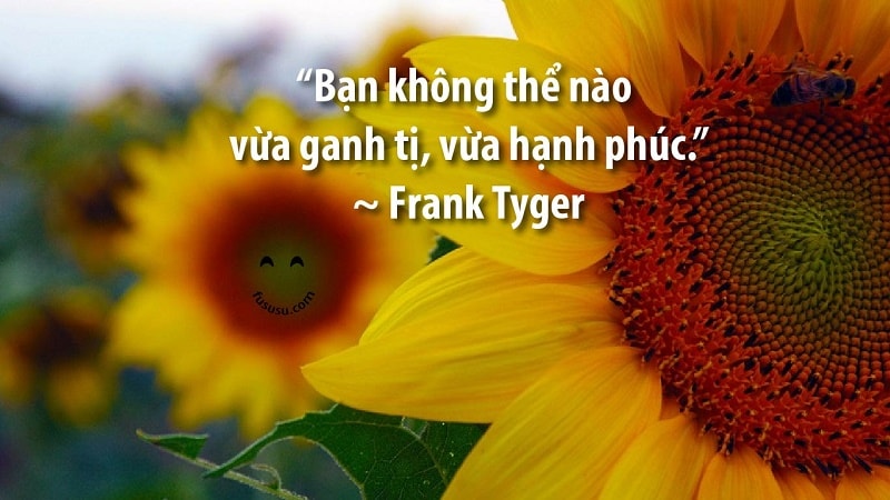 “Bạn không thể vừa ganh tị, vừa hạnh phúc” ~ Franh Tyger