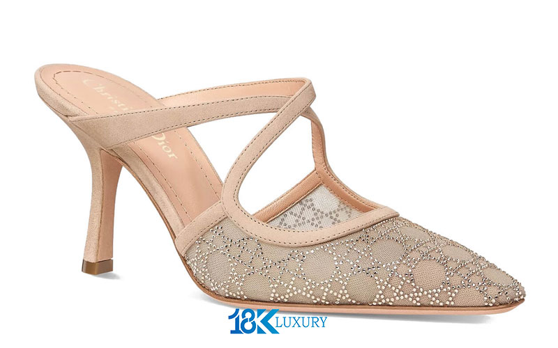 giay cao got dior (5)