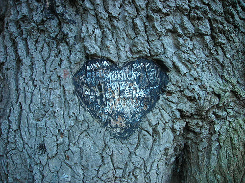 lovesign
