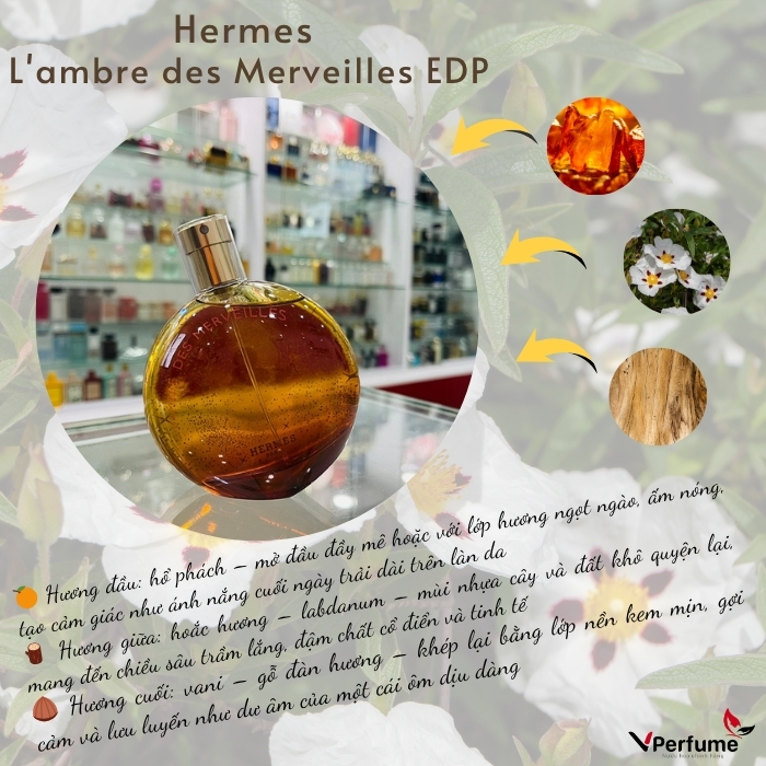 mùi hương nước hoa Hermes L