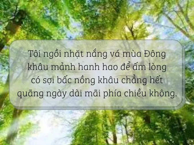 Top 30+ bài thơ hay về Nắng 2