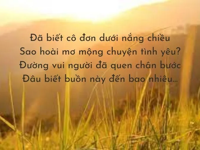 Top 30+ bài thơ hay về Nắng 9