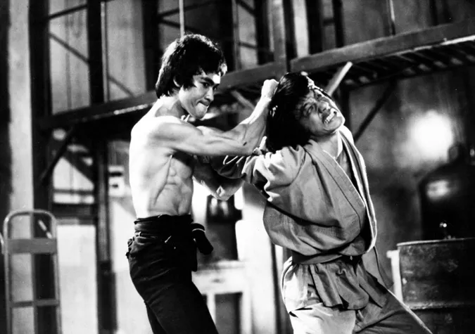 tieu-su-thanh-long-2